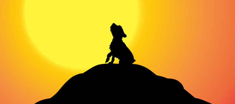 The Top 25 Pet Retailers in North America